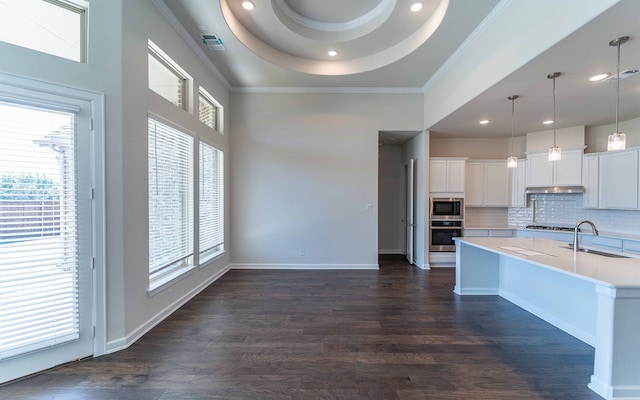 kitchen featuring hanging light fixtures, appliances with stainless steel finishes, dark hardwood / wood-style floors, sink, and a raised ceiling