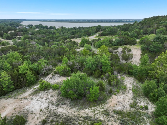 4920 Gooseberry Trl, Granbury TX, 76048 land for sale