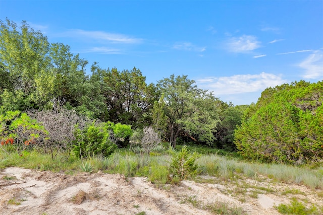 Listing photo 3 for 3604 Blueberry Trl, Granbury TX 76048