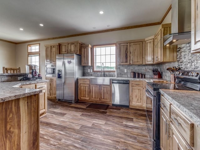 kitchen with wall chimney exhaust hood, sink, decorative backsplash, and stainless steel appliances