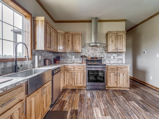 kitchen with sink, wall chimney range hood, dark hardwood / wood-style flooring, decorative backsplash, and appliances with stainless steel finishes