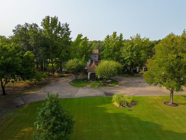 view of home's community with a yard