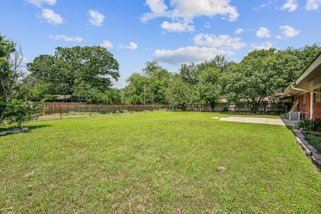 view of yard featuring a patio