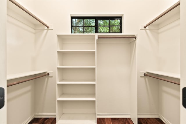 spacious closet featuring dark wood-type flooring