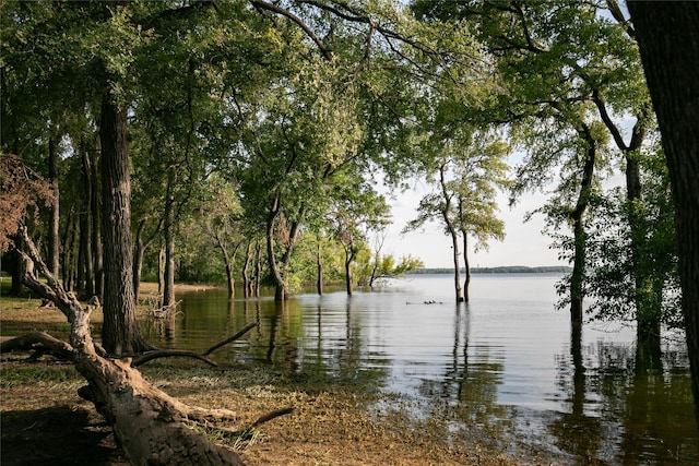 water view