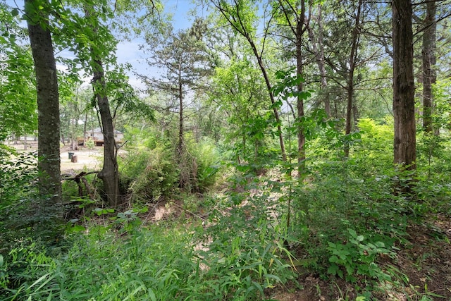 208 Waikiki Trl, Tool, TX 75143 - view of nature