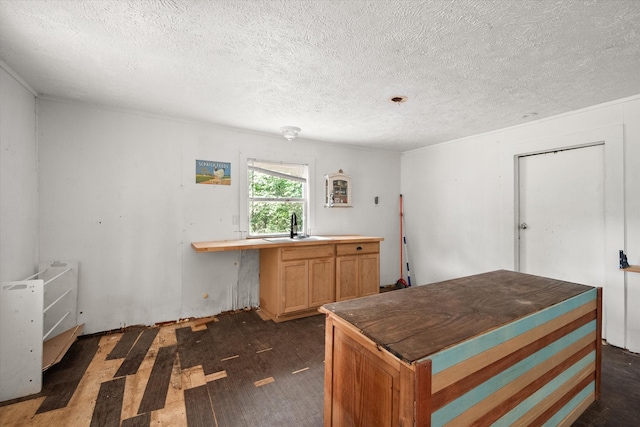 kitchen featuring sink, dark wood-type flooring, and a textured ceiling