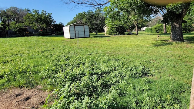209 E 1st St, Springtown, TX 76082