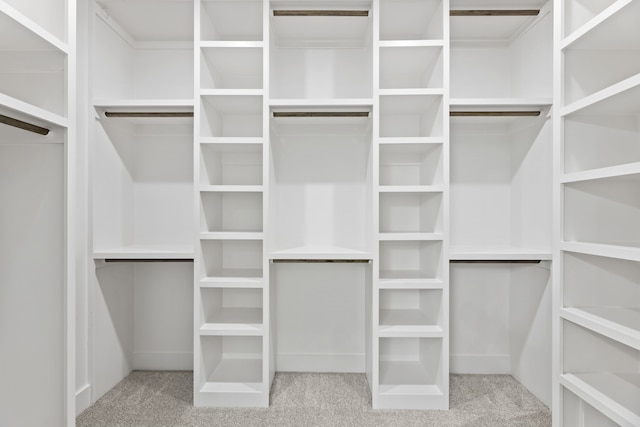 spacious closet with light colored carpet