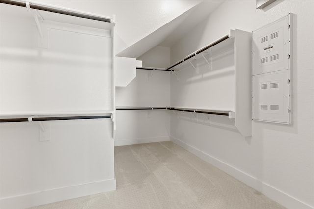 walk in closet with light carpet