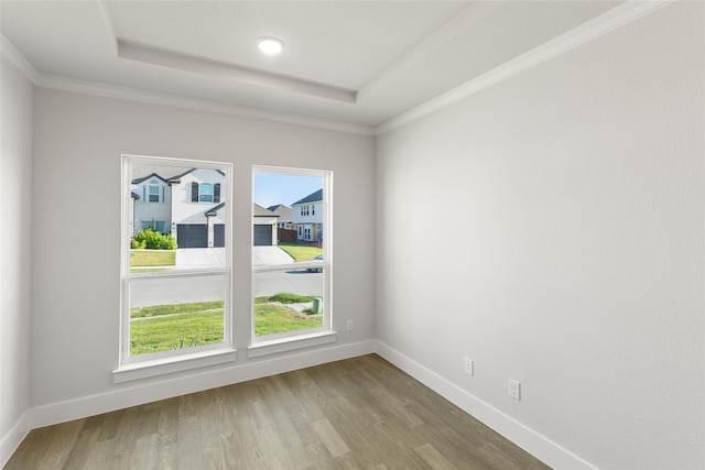spare room featuring baseboards, a tray ceiling, and wood finished floors