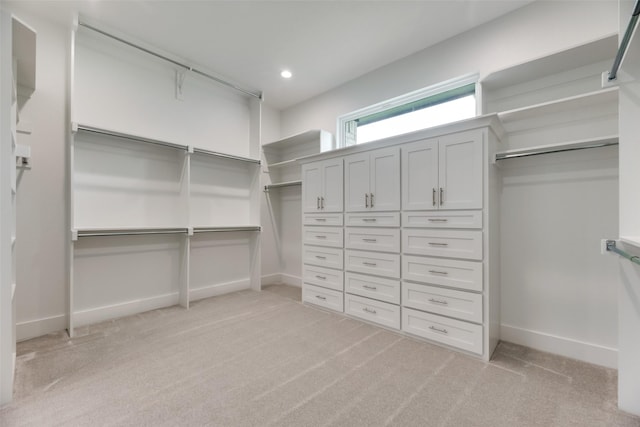 walk in closet with light carpet