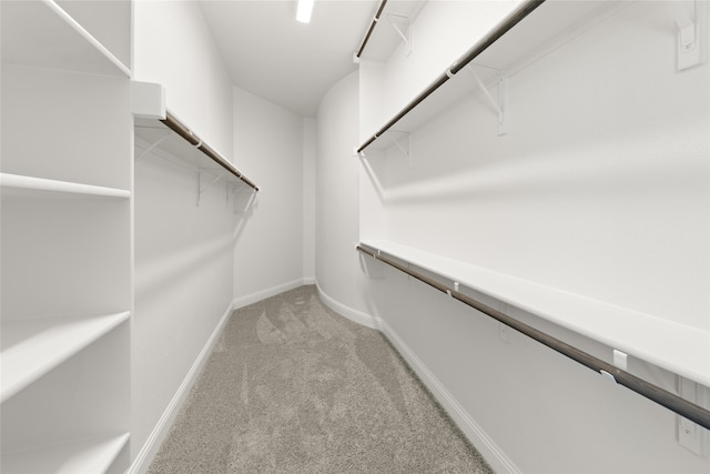 walk in closet featuring light colored carpet