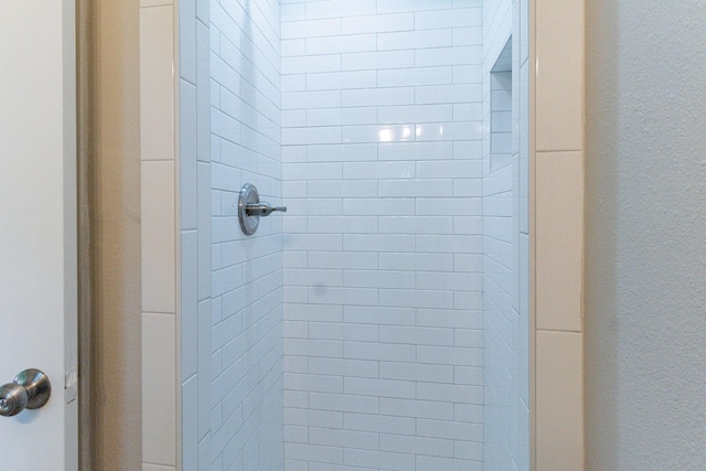 interior details with tiled shower