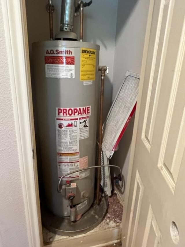 utility room with gas water heater