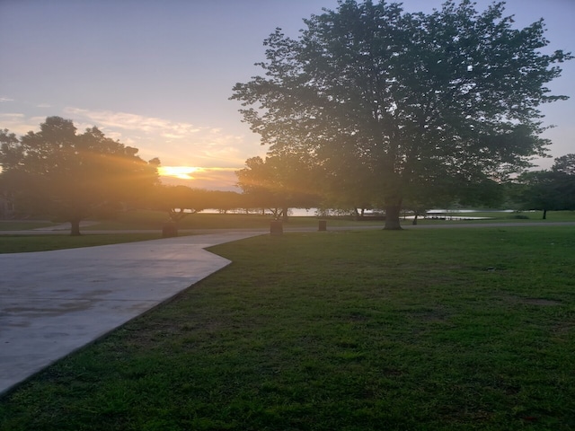 view of community featuring a yard