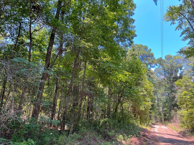 03 New Haven Rd, Hemphill, TX 75958
