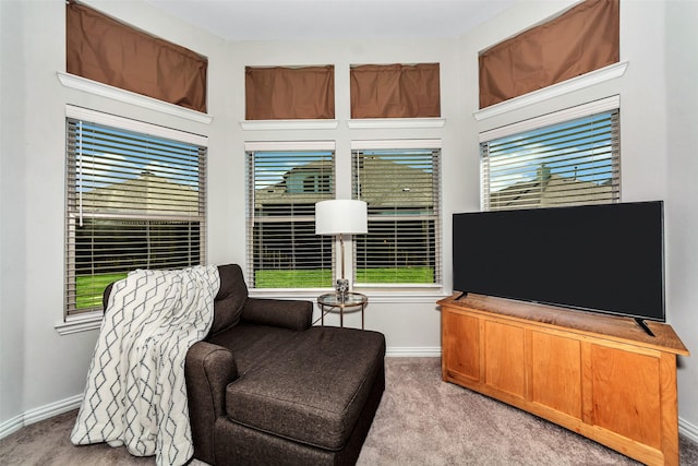 sitting room with light carpet and plenty of natural light