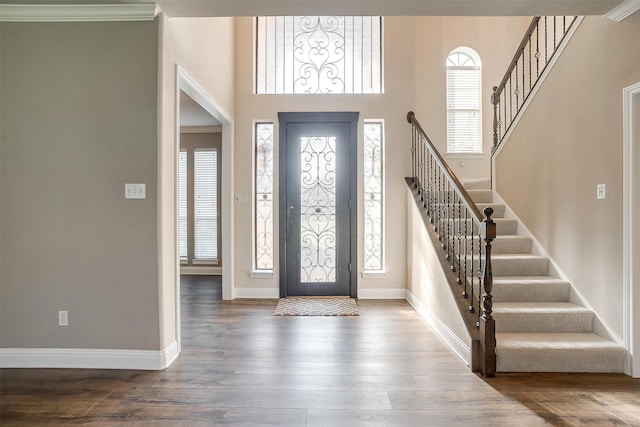 foyer featuring a healthy amount of sunlight, baseboards, and wood finished floors