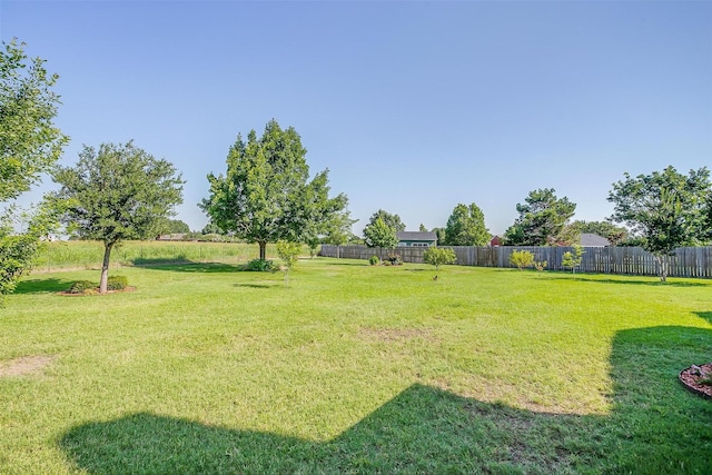 view of yard featuring a fenced backyard