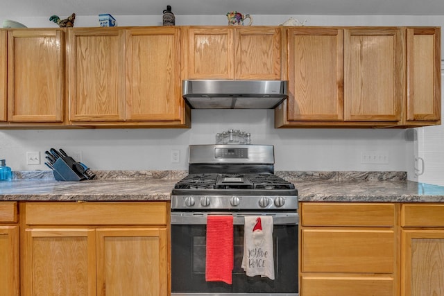 kitchen with stainless steel gas range oven