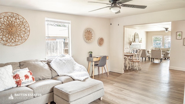 living room with ceiling fan and light wood-type flooring