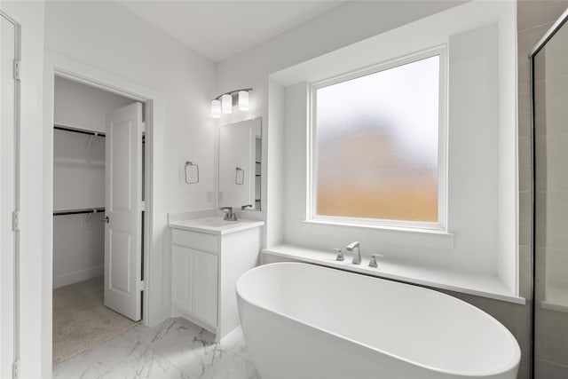 bathroom featuring vanity and a bathing tub