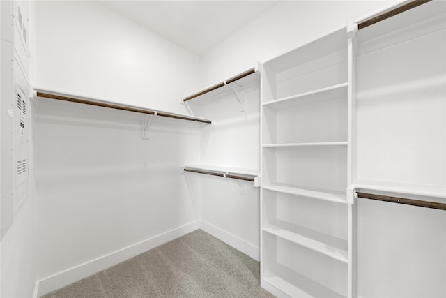 walk in closet with light carpet