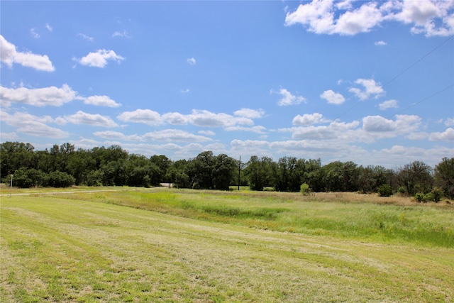 view of local wilderness with a rural view