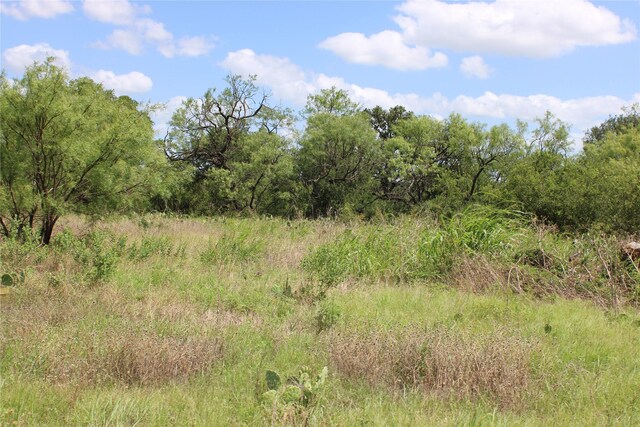 view of local wilderness featuring a rural view