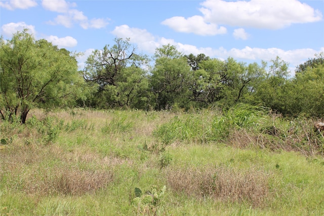 view of local wilderness