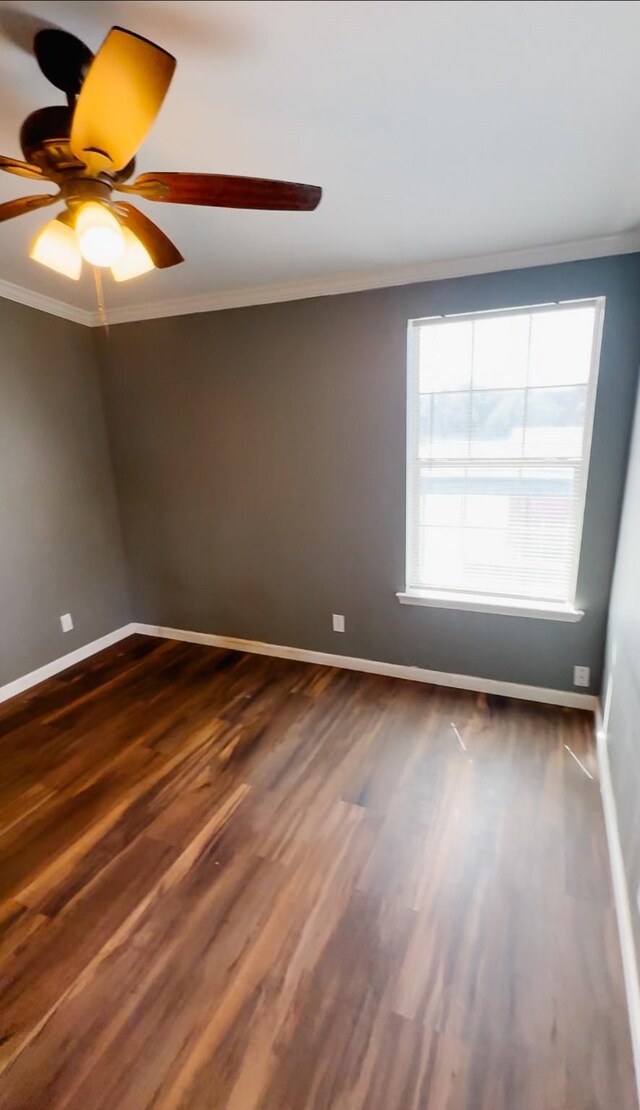 office with ceiling fan, wood-type flooring, a textured ceiling, and ornamental molding