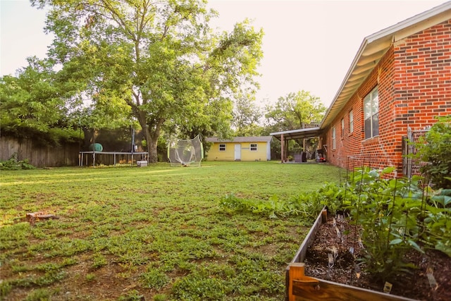 view of yard featuring a storage shed and a trampoline