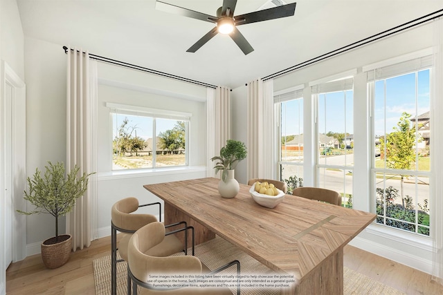 dining room with light hardwood / wood-style flooring and ceiling fan