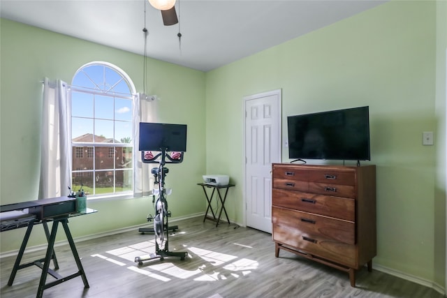 exercise area with ceiling fan and light wood-type flooring