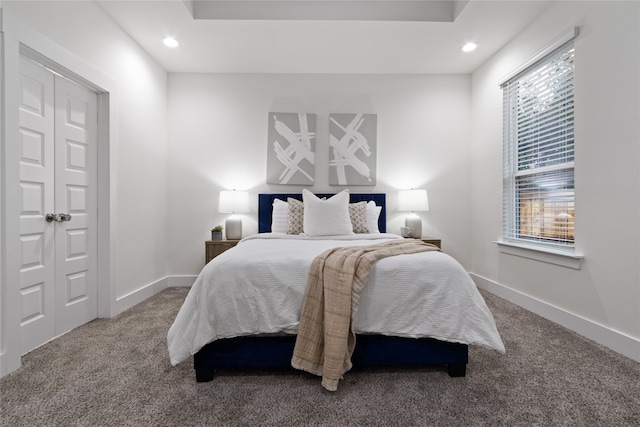 bedroom with carpet floors and a closet