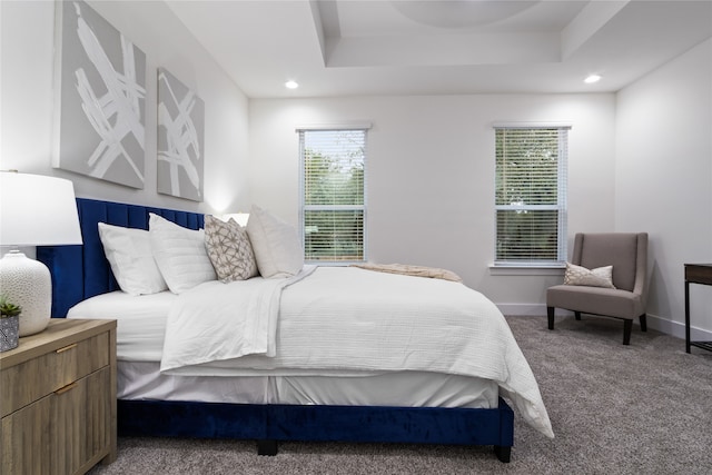 carpeted bedroom featuring a tray ceiling