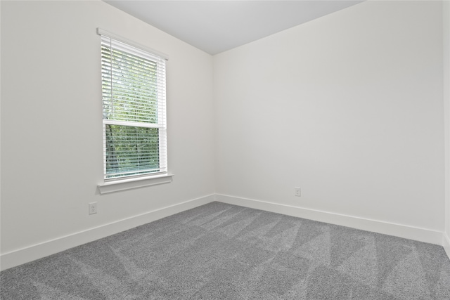 spare room featuring carpet flooring and a healthy amount of sunlight