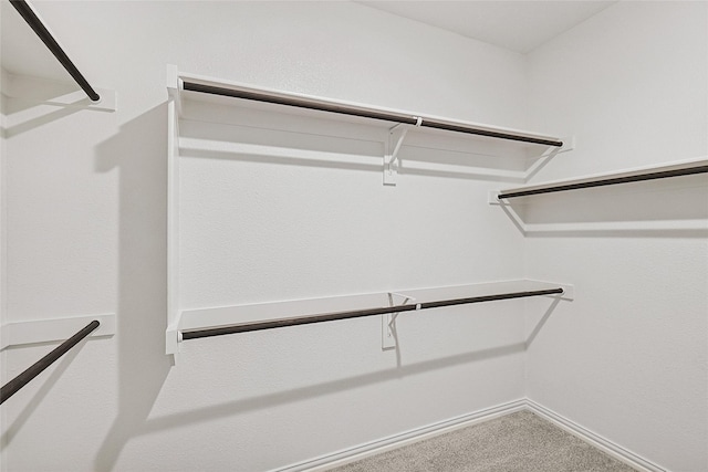 walk in closet featuring carpet flooring