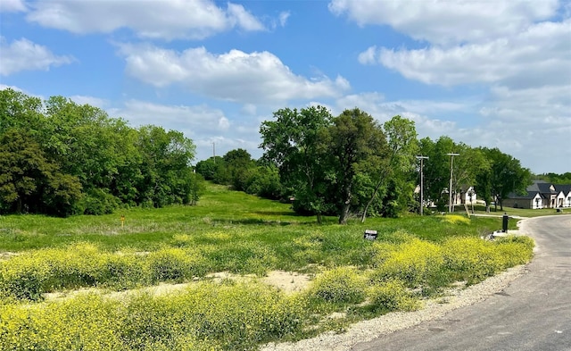 Listing photo 2 for 1031 Meadow Wood Ter, Azle TX 76020