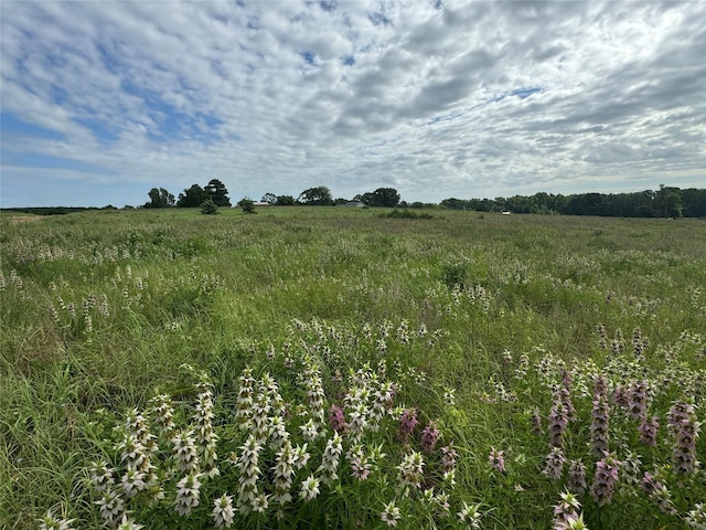 1130 Vz County Road 4106, Canton TX, 75103 land for sale