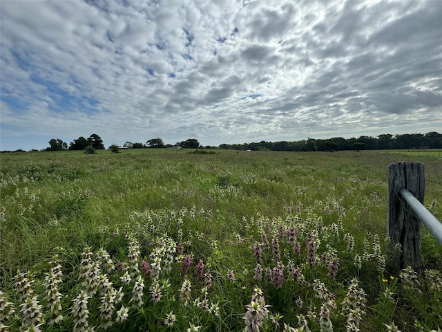 Listing photo 2 for 1130 Vz County Road 4106, Canton TX 75103