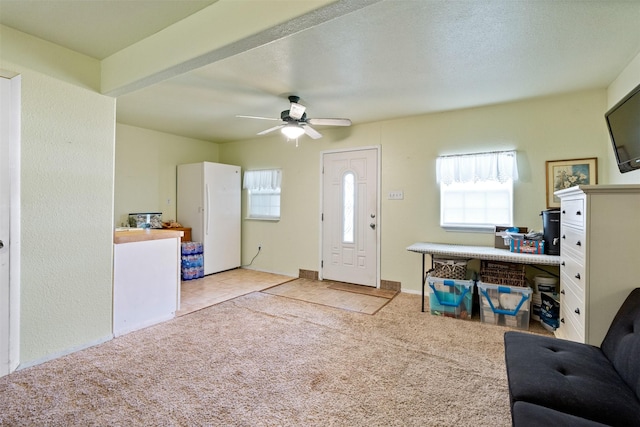 carpeted living room with ceiling fan and a textured ceiling