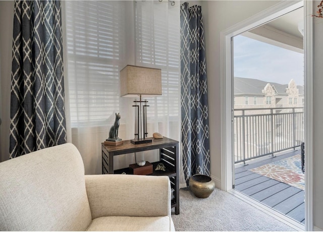 sitting room with carpet floors