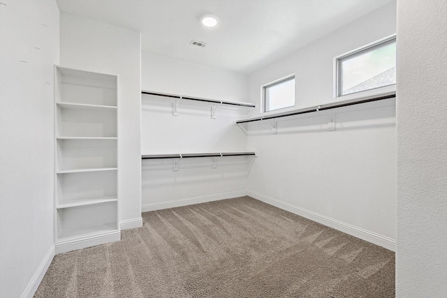 spacious closet with carpet floors