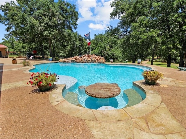 view of swimming pool