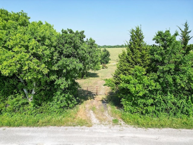 3222 Sears Rd, Bells TX, 75414 land for sale