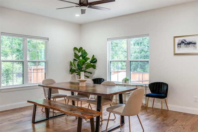 dining room with light wood-type flooring and ceiling fan