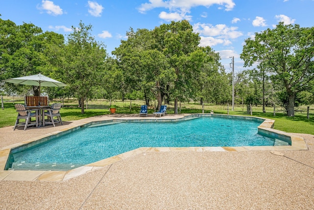 view of swimming pool featuring a patio area