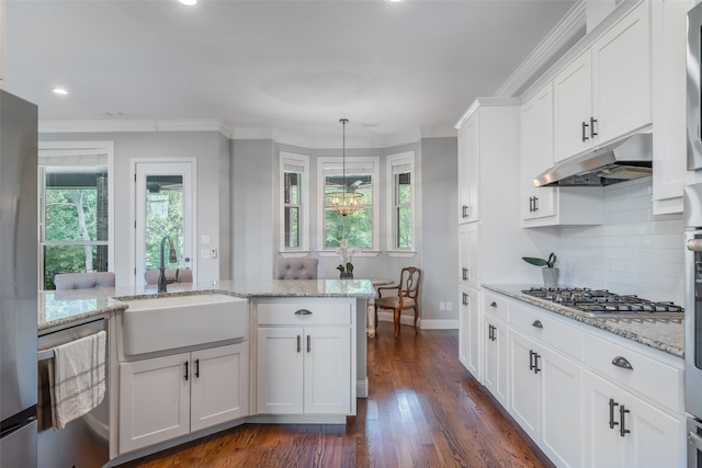 kitchen with white cabinetry, sink, stainless steel appliances, dark hardwood / wood-style floors, and pendant lighting